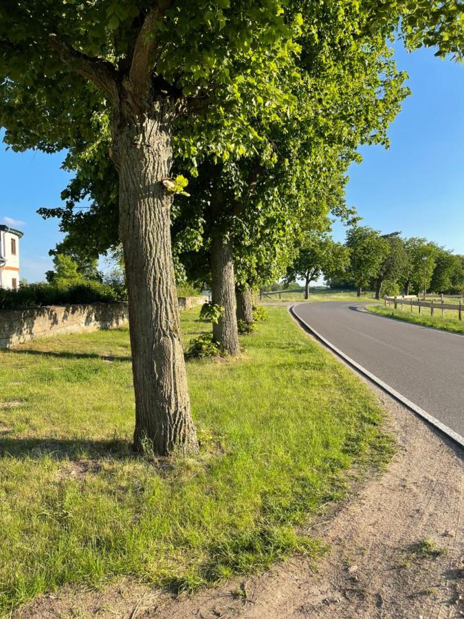 Mitten In Der Natur : Ferienwohnung Mit 3 Schlafzimmern, Neu Eingerichtet Neu Gaarz Екстериор снимка